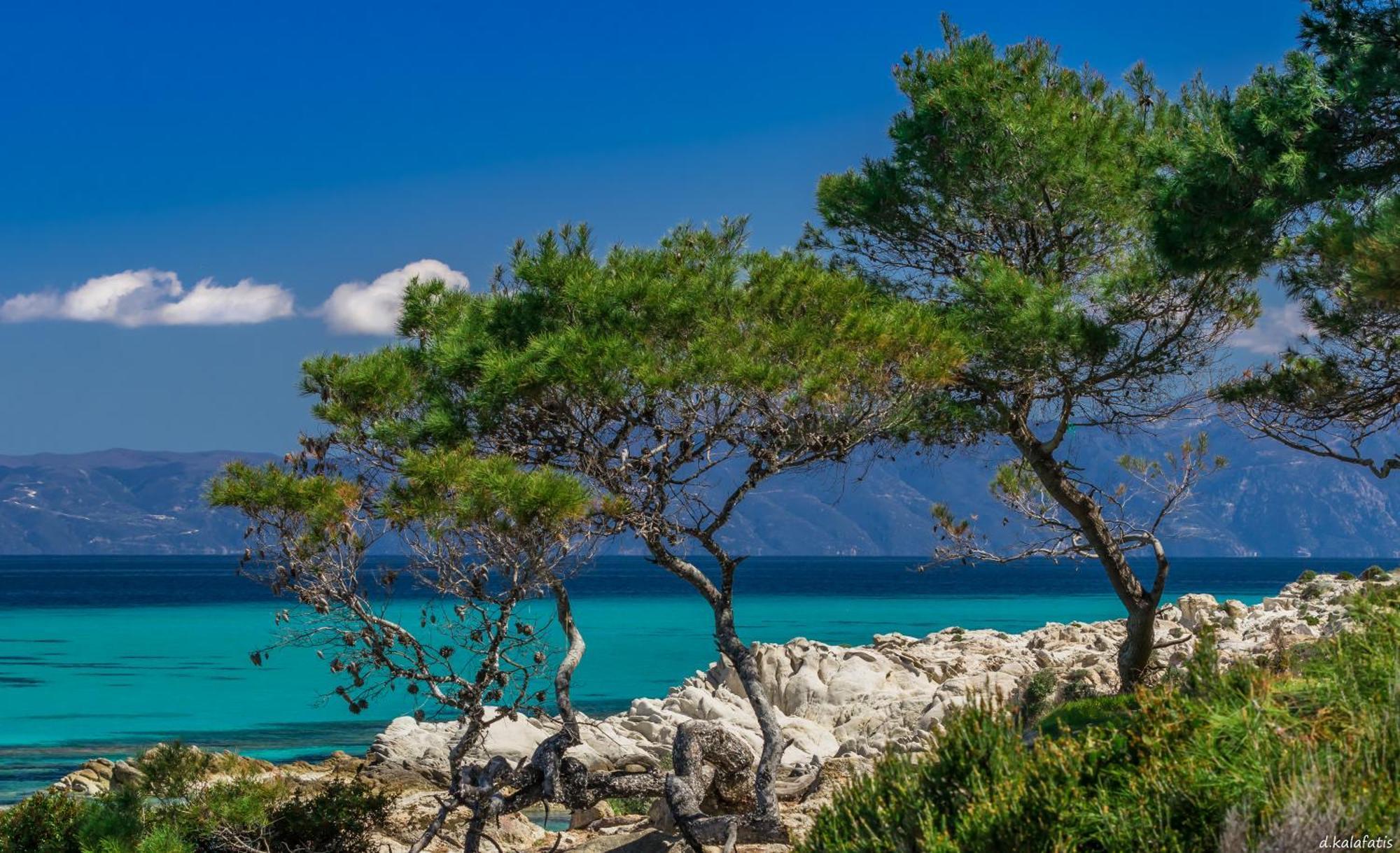 House Michalis Aparthotel Sarti Bagian luar foto