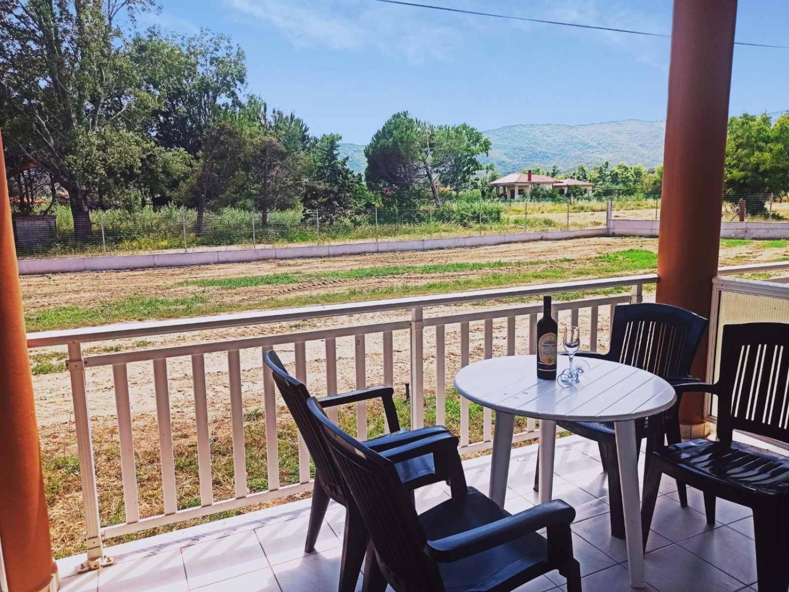 House Michalis Aparthotel Sarti Bagian luar foto