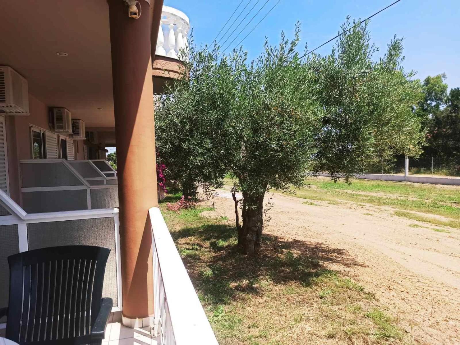 House Michalis Aparthotel Sarti Bagian luar foto